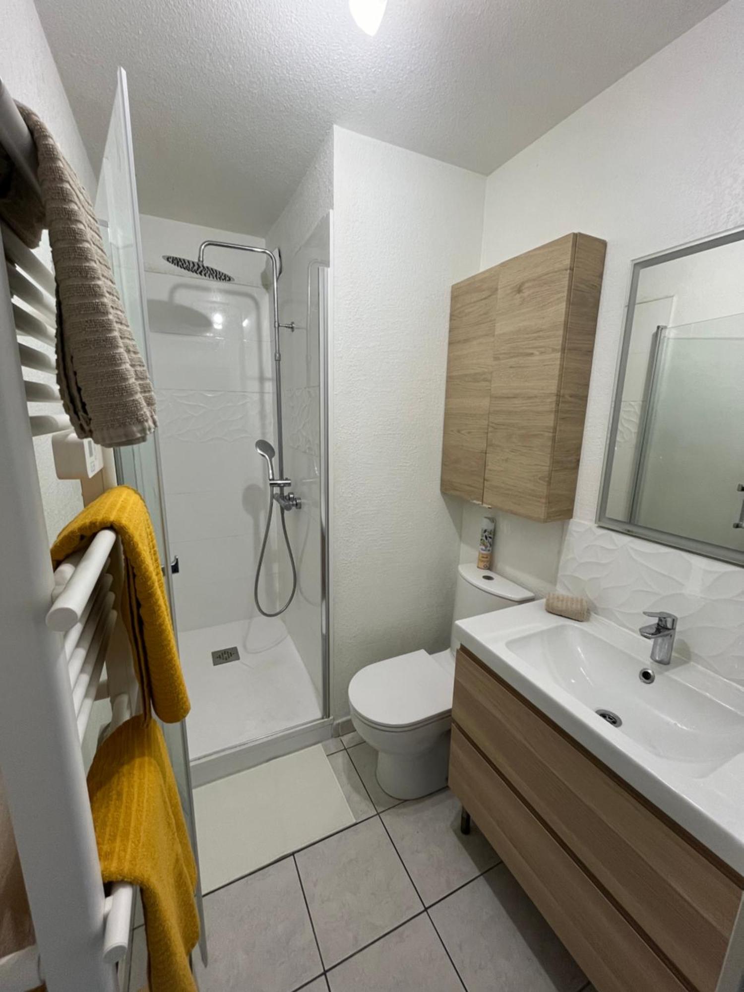 Joli T2/ Tram/ Clim/ Parking/ Wifi/ Piscine Apartment Montpellier Exterior photo