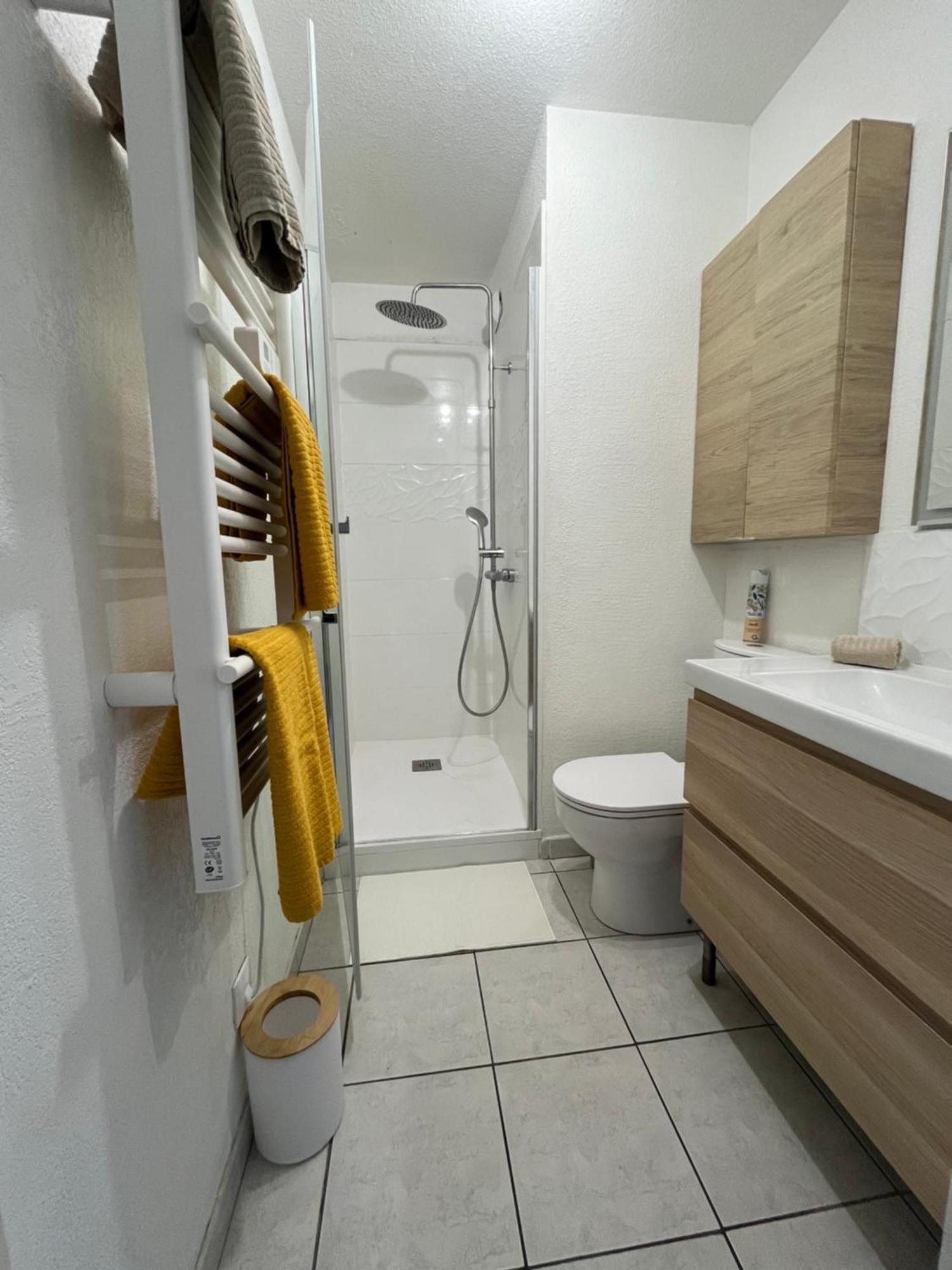 Joli T2/ Tram/ Clim/ Parking/ Wifi/ Piscine Apartment Montpellier Exterior photo